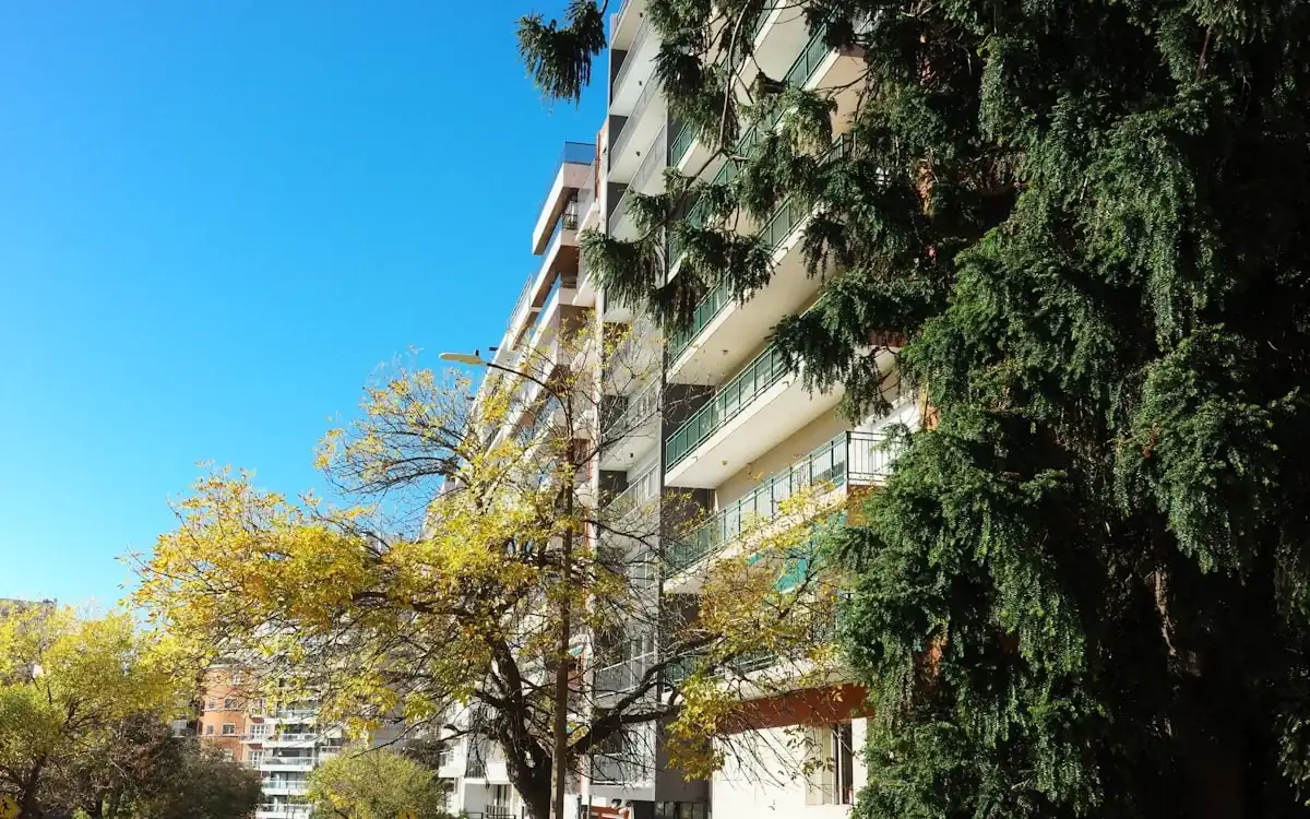 Modern residential apartment building framed by trees under blue sky