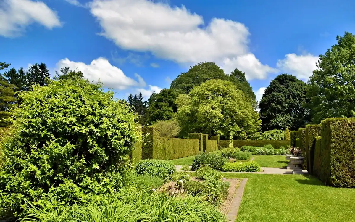 Manicured formal garden with clipped hedges and mature trees