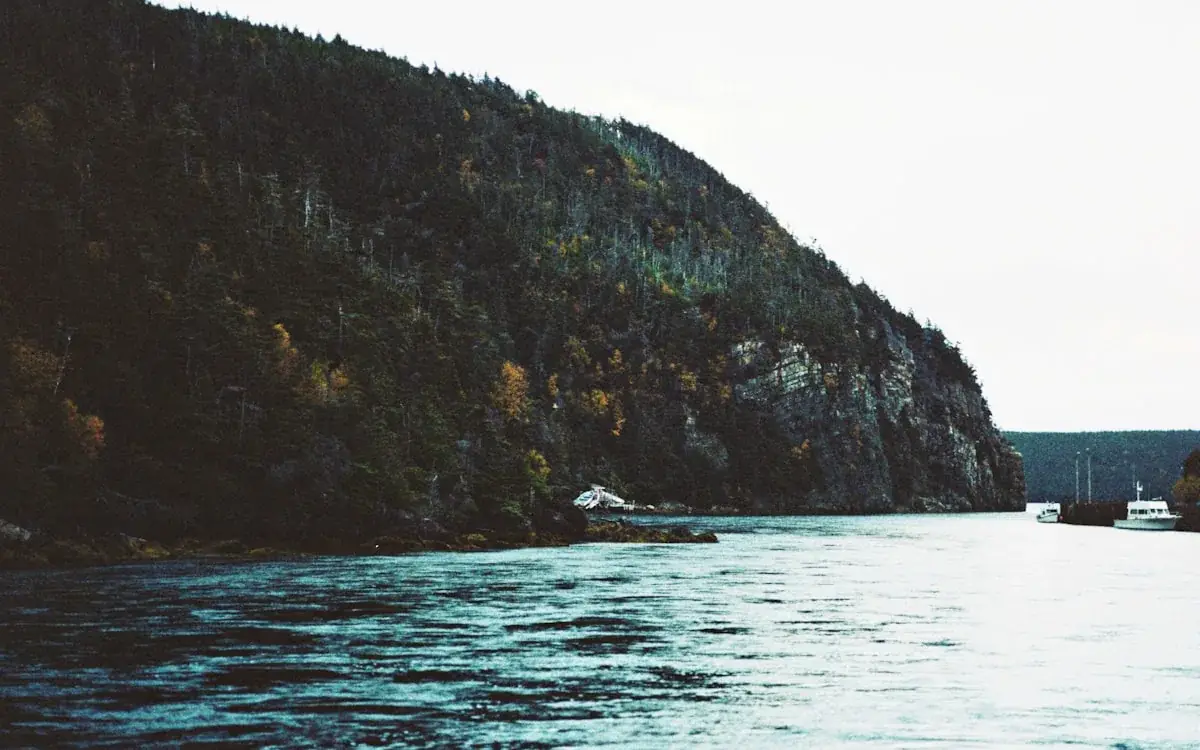 Boats on a calm coastal inlet beneath a forested headland